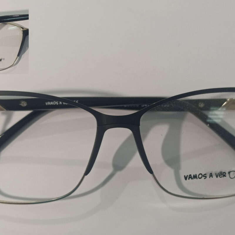 MOD. FL6008 C1